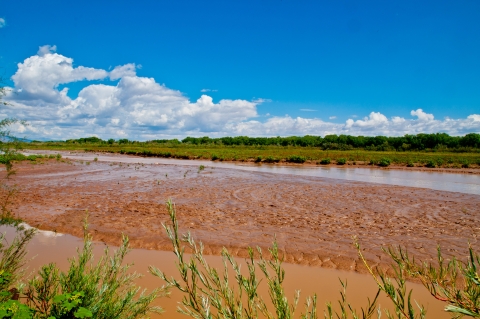 A body of water on a sunny day