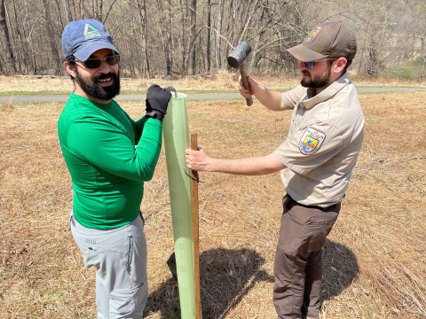 Groundwork Hudson Valley Green Team Volunteers Plant Chestnut Trees at Cherry Valley National Wildlife Refuge