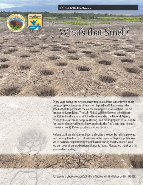 Flyer about fish smell showing dry soil with background of Haleakala 