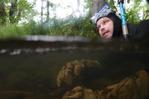 Snorkeling resting on the bottom of a shallow river, head above water.