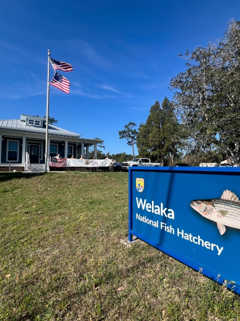 sign reads Welaka National Fish Hatchery; in background: office building with 2 US flags on flagpole in front and people holding FWS-America banner, Freedom 250 flag