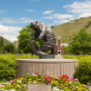 A silver statue of a grizzly bear surrounded by flowers with buildings and a green hill in the distance