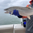 A biologist holding a wild lake trout while aboard a boat on Lake Ontario.