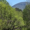 A stream through the mountains.
