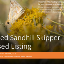 Bleached sandhill skipper proposed listing public hearing presentation