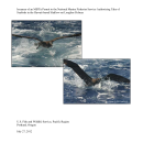 NMFS Incidental Seabird Take for National Marine Fisheries Service (NMFS) Hawaii-based Longline Fishery