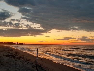 The glowing sun rises over a beach.