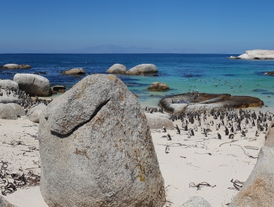 South Africa 2019