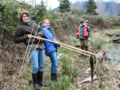 Two women hold long wooden poles with fish carcasses at the end. They stand in a marshy area. Two people in the background look on.
