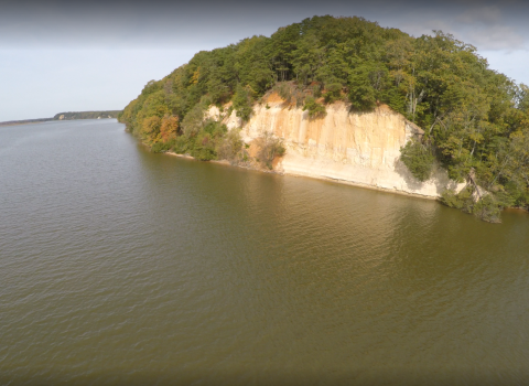 White cliffs capped with bright green trees. The cliffs are adjacent to a wide river.
