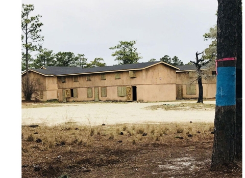 Combat town at Camp Lejeune with a pine tree that is home to a red-cockaded woodpecker cluster.