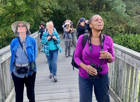 People with binoculars stand on an outdoor boardwalk looking up at the sky