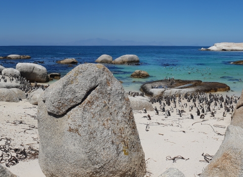 South Africa 2019