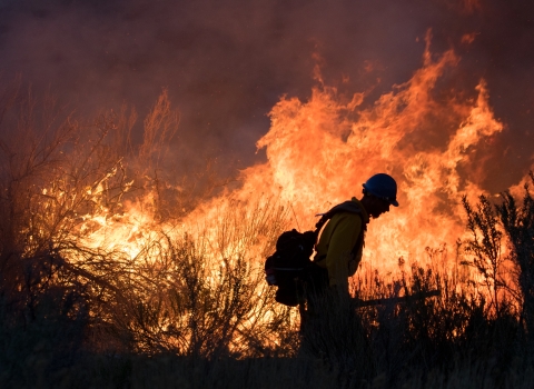 A firefighter is silhouetted in the dark walking along a fireline with orange flames in the background