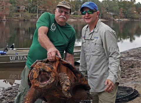 Kevin Enge, left, FWC, and Travis Thomas, UF, right, pose while holding a large male Suwannee alligator snapping turtle with their boat and Suwannee River in the background. This is the 15th year the two men have been trapping and monitoring the Suwannee alligator snapping turtle to conserve and protect them.
