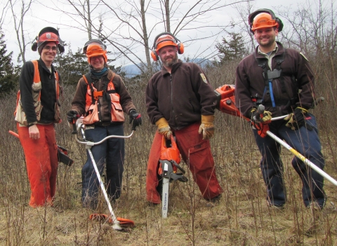 Four people looking at the camera holding field tools to restore habitat with dense shrubs and trees behind them. The people are wearing orange hard hats and earmuffs.