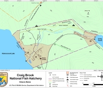 Map with legend of Craig Brook National Fish Hatchery trail and hunting areas.