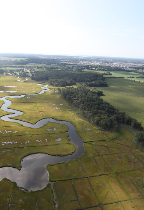 Green marshland, a wandering river and human-made canals are visible in this aerial of Cape May National Wildlife Refuge.