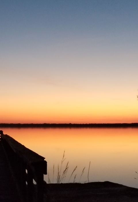 Sunrise over lake with cypress trees and dock
