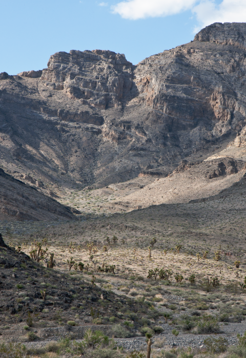 Mountains rising sharply up from the desert floor