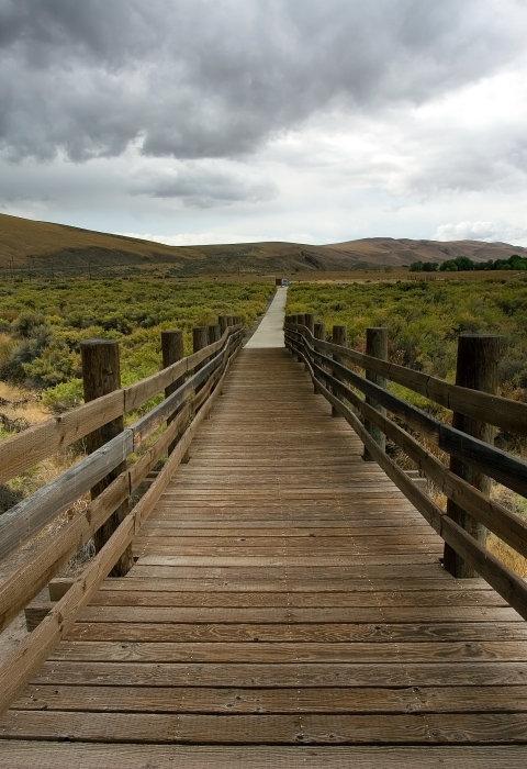 Into The Storm - Toppenish NWR Boardwalk