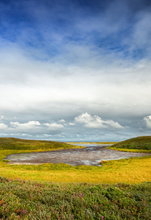 Large pool of water surrounded by low tundra grasses under cloud covered sky.