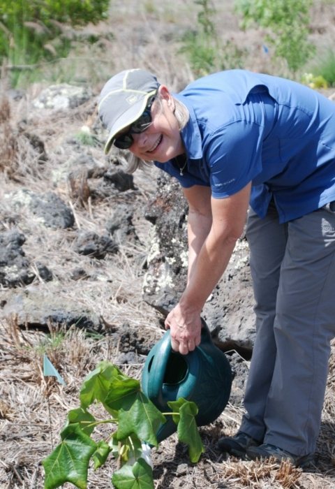 In this photo taken in Hawai’i in 2017, Heather Hollis took a field trip to plant native plants at the restoration site.