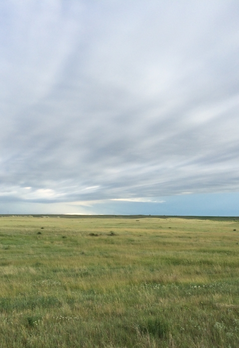 A hilly grassy landscape under a blue sky