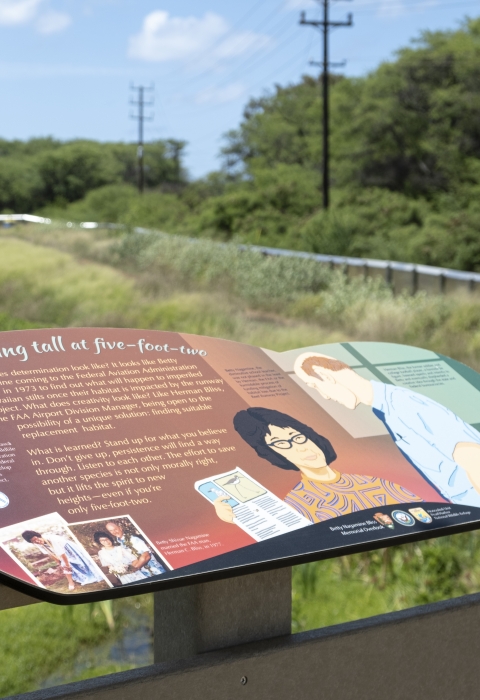 The Betty Nagamine Bliss sign detailing who she was, overlooks the wetland refuge established in her honor. 