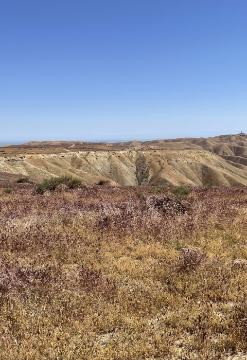a plateau covered in dry yellow grass extends into the distance