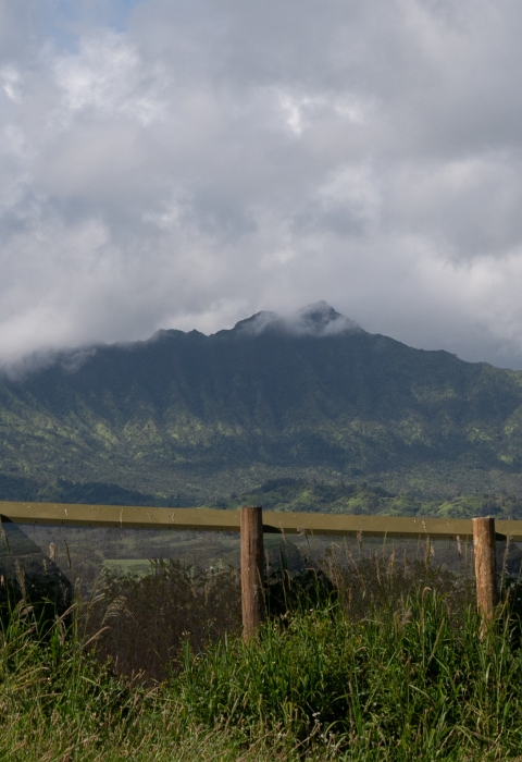 A tall fence cuts across a lush green landscape. There is a green mountain in the background with fluffy white clouds on it.