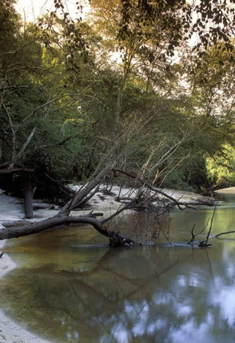 Ochlockonee River