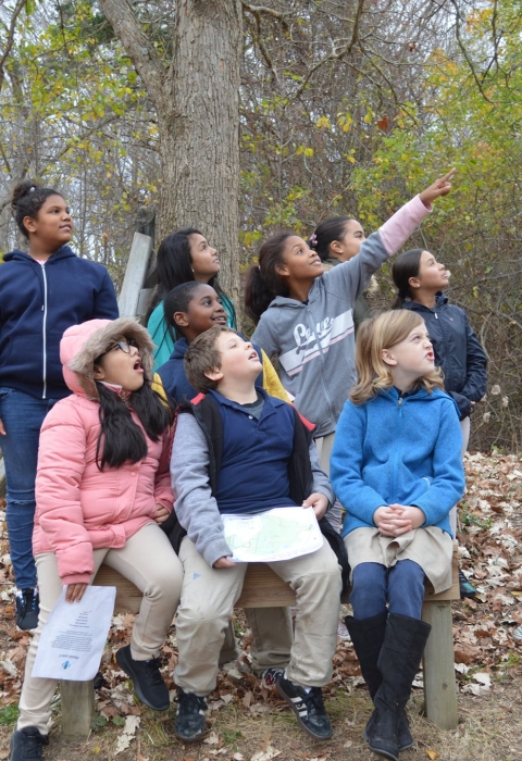 a group of children in a forest look and point up in the sky with awe, presumably because they're looking at a bird or other wildlife