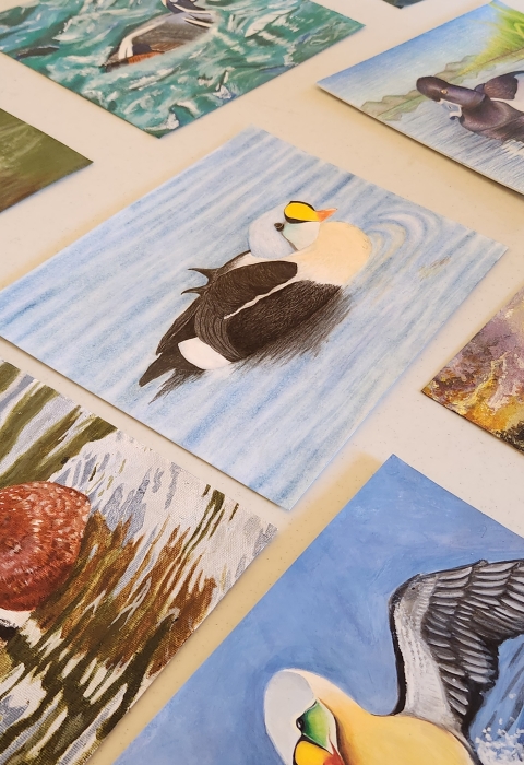 2024 Alaska Jr. Duck Stamp Entries