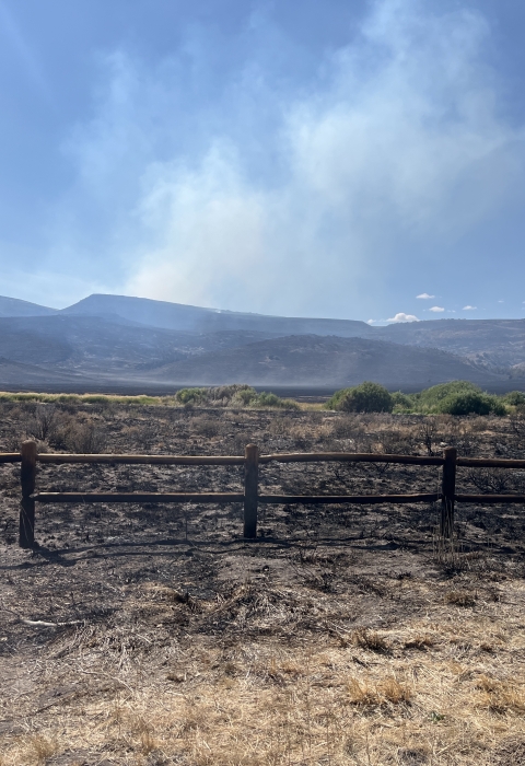 Landscape view shows grass field and fence blackened from wildfire damage, with smoke emanating and hills in the distance. 
