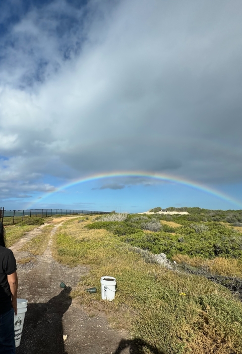 Woman looking at a rainbow in the sky