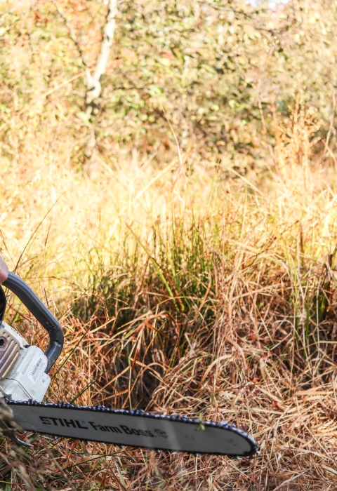 Person standing among tall grass holding a chainsaw. Trees in the distance,