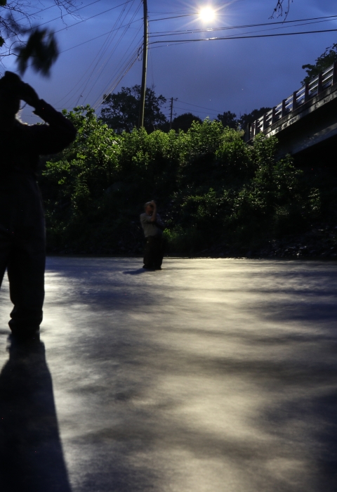 Two people standing in a river at night, looking up at a bridge