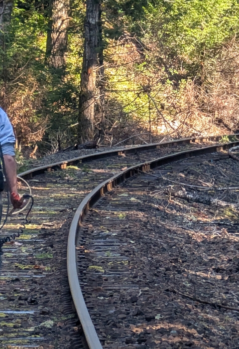 A person wearing a technical backpack walks down railroad tracks in the forest