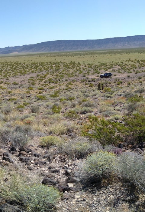 Landscape of Hidden Valley landscape location showing mountain in background and poppy plants in the foreground