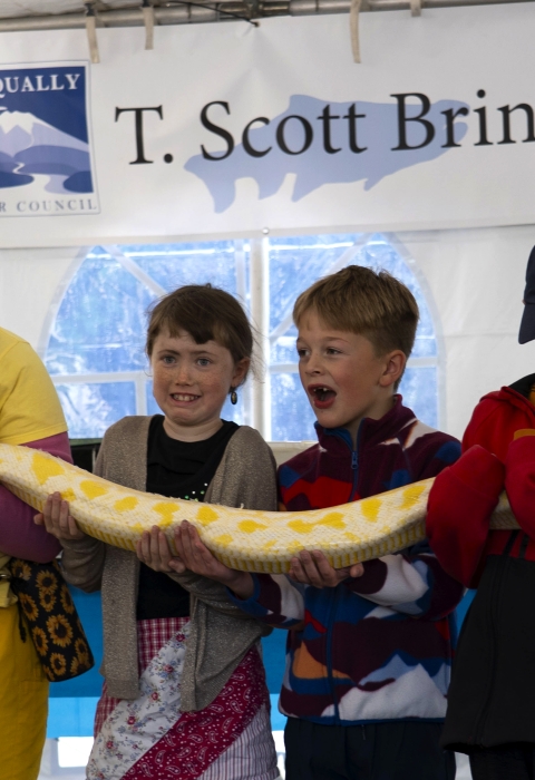 A group of children holds up an enormous yellow and white snake while reacting