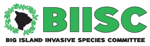 Green letters on a white background that read B.I.I.S.C.