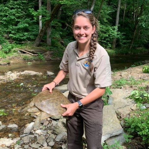 USFWS employee holding softshell turtle in stream