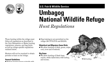 Hunting Information for Umbagog National Wildlife Refuge