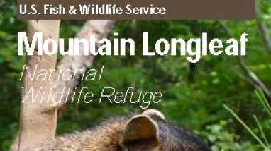 An image of the cover for the refuge brochure.