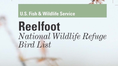 An image of the cover for the bird brochure.
