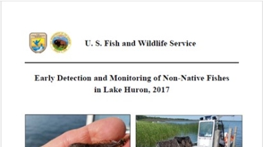 report cover