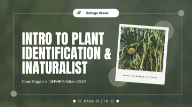Front cover of the presentation