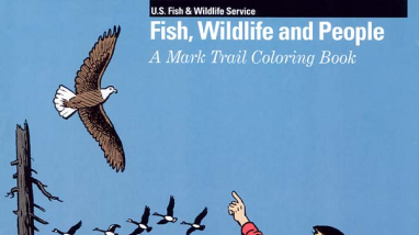 Coloring Book by Mark Trail 