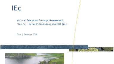 IV.A Final Natural Resource Damage Assessment Plan for the M/V Selendang Ayu Oil Spill